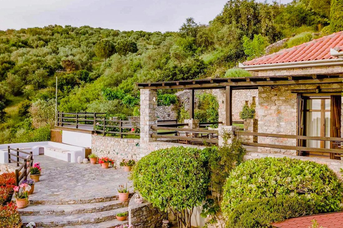 ig_pi_anthillion_ei (17).jpg