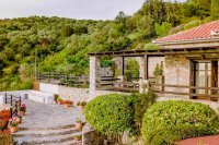 ig_pi_anthillion_ei (17).jpg