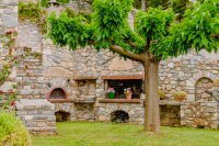 ig_pi_anthillion_ei (2).jpg