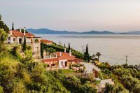 ig_pi_anthillion_ei (23).jpg