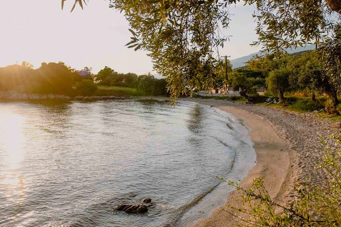 ig_pi_anthillion_ei (43).jpg