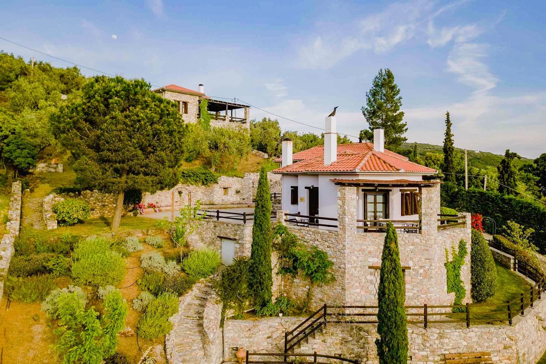 ig_pi_anthillion_ei (15).jpg