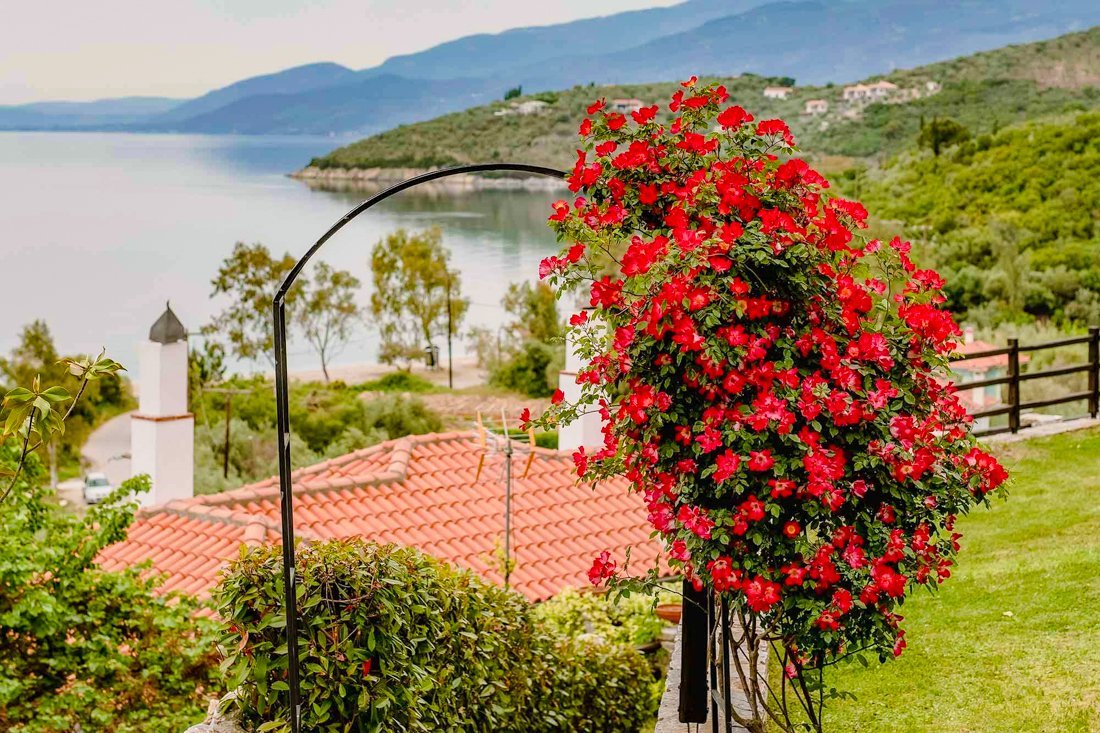 ig_pi_anthillion_ei (31).jpg