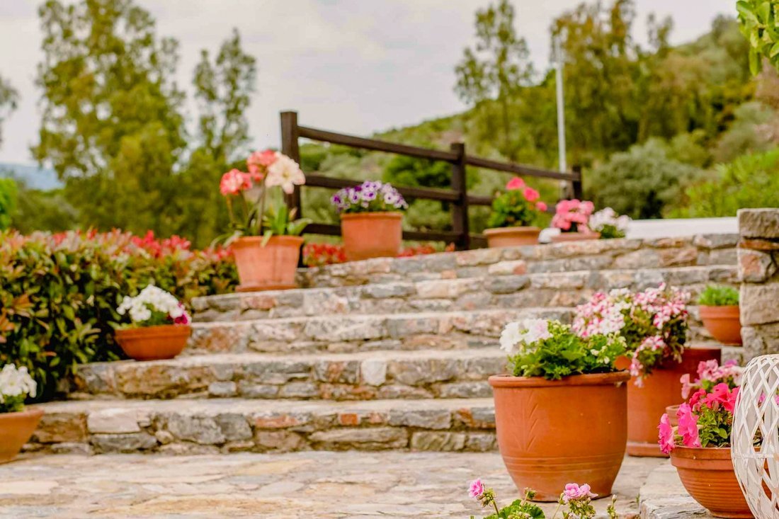 ig_pi_anthillion_ei (27).jpg