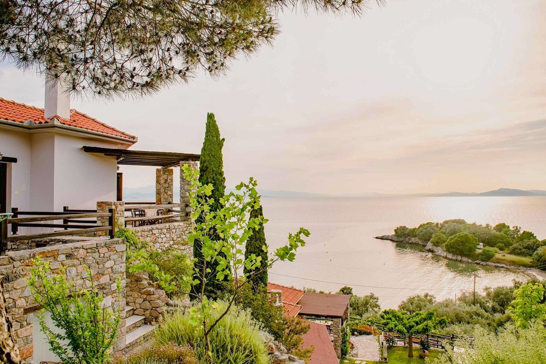 ig_pi_anthillion_ei (9).jpg