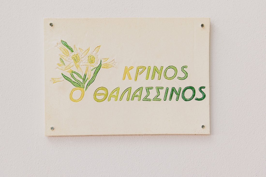 ig_pi_anthillion_krinos_ei (12).jpg