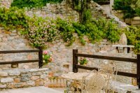 ig_pi_anthillion_pansedes_ei (5).jpg