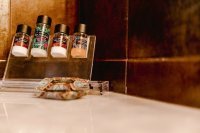 ig_pi_anthillion_pansedes_ei (11).jpg