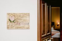 ig_pi_anthillion_zouboulia_ei (10).jpg