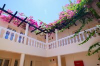 ig_wk_elotis_ei (6).jpg