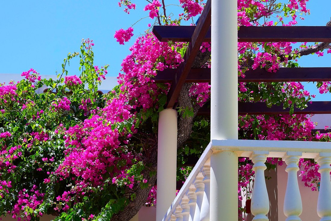 ig_wk_elotis_ei (7).jpg