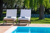 ig_lf_anemones_kallistro_ei (26).jpg