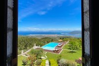 ig_lf_anemones_krinea_ei (30).jpg