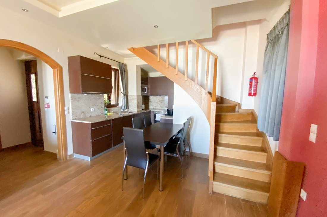 ig_lf_anemones_krinea_ei (11).jpg