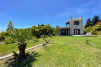 ig_lf_anemones_nisa_ei (1).jpg