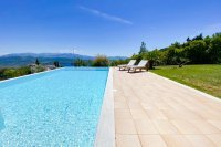 ig_lf_anemones_nisa_ei (12).jpg