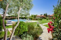 ig_pi_elite_ei (4).jpg