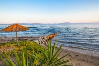 ig_pi_elite_ei (2).jpg