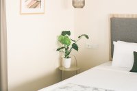 ig_limeria_deluxe_ei (7).jpg