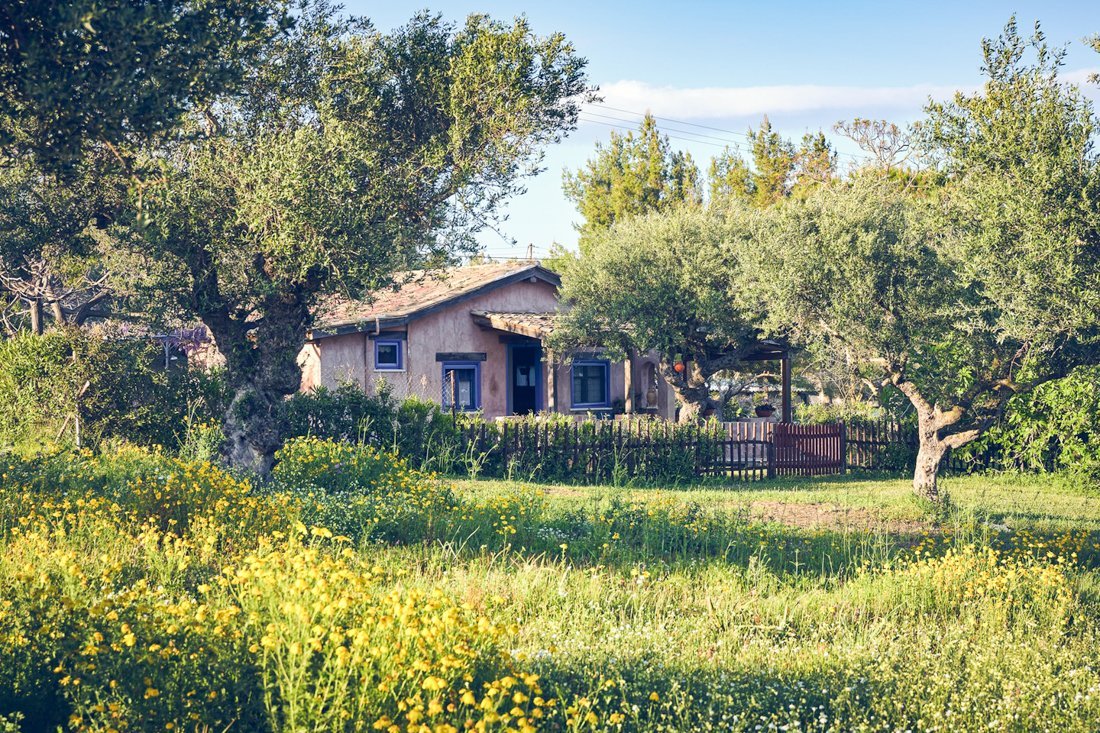 ig_za_baraka_ei (1).jpg