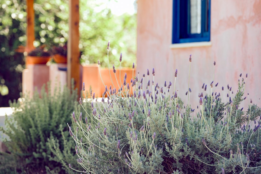 ig_za_baraka_ei (8).jpg