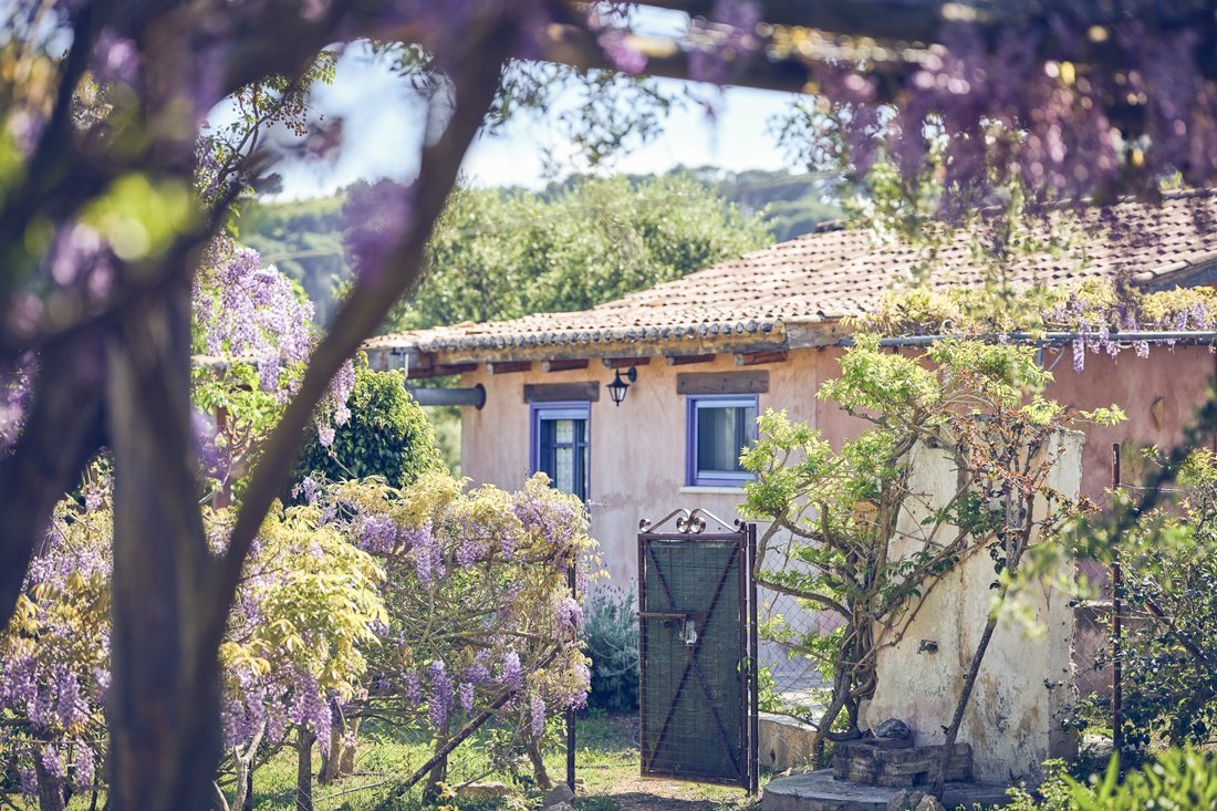 ig_za_baraka_ei (5).jpg