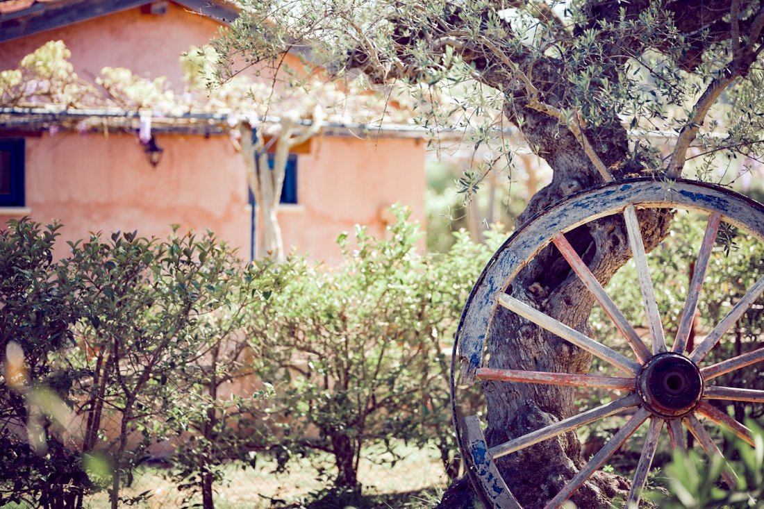 ig_za_baraka_ei (9).jpg