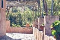 ig_za_baraka_ei (7).jpg