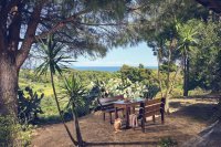 ig_za_vrisoula_ei (1).jpg