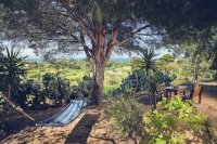 ig_za_vrisoula_ei (5).jpg