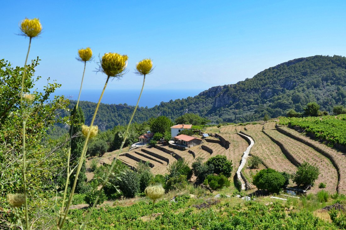 nachtegaalvallei_fotogasten (9).jpg