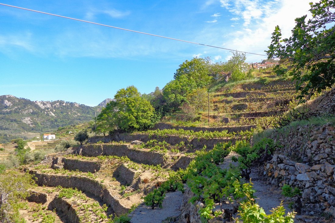 nachtegaalvallei_fotogasten (7).jpg