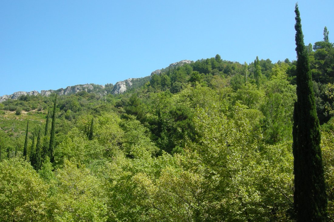 nachtegaalvallei_fotogasten (6).jpg