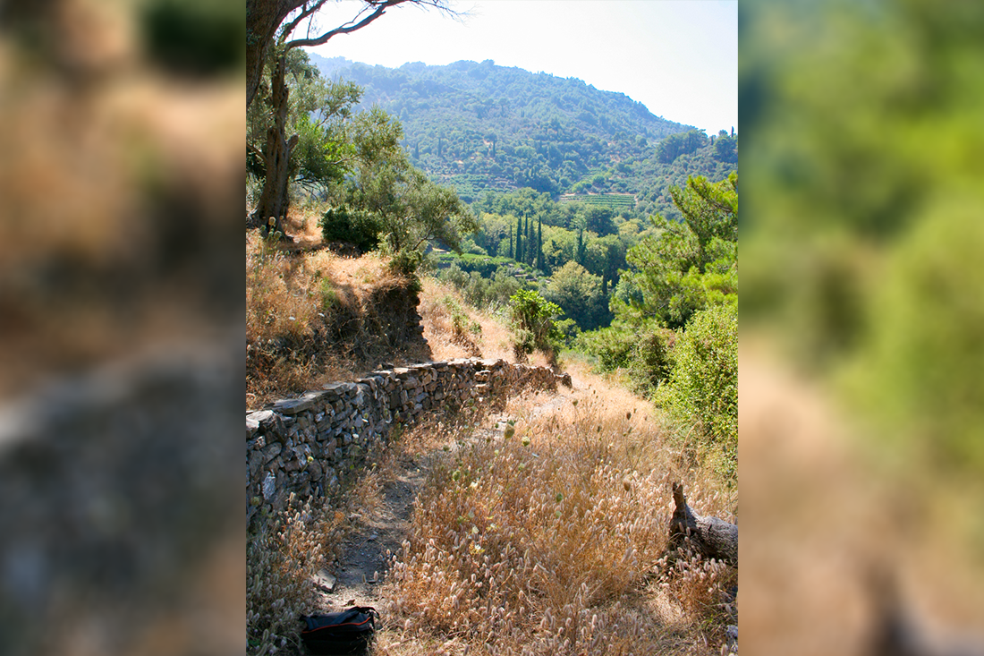 nachtegaalvallei_fotogasten (5).png