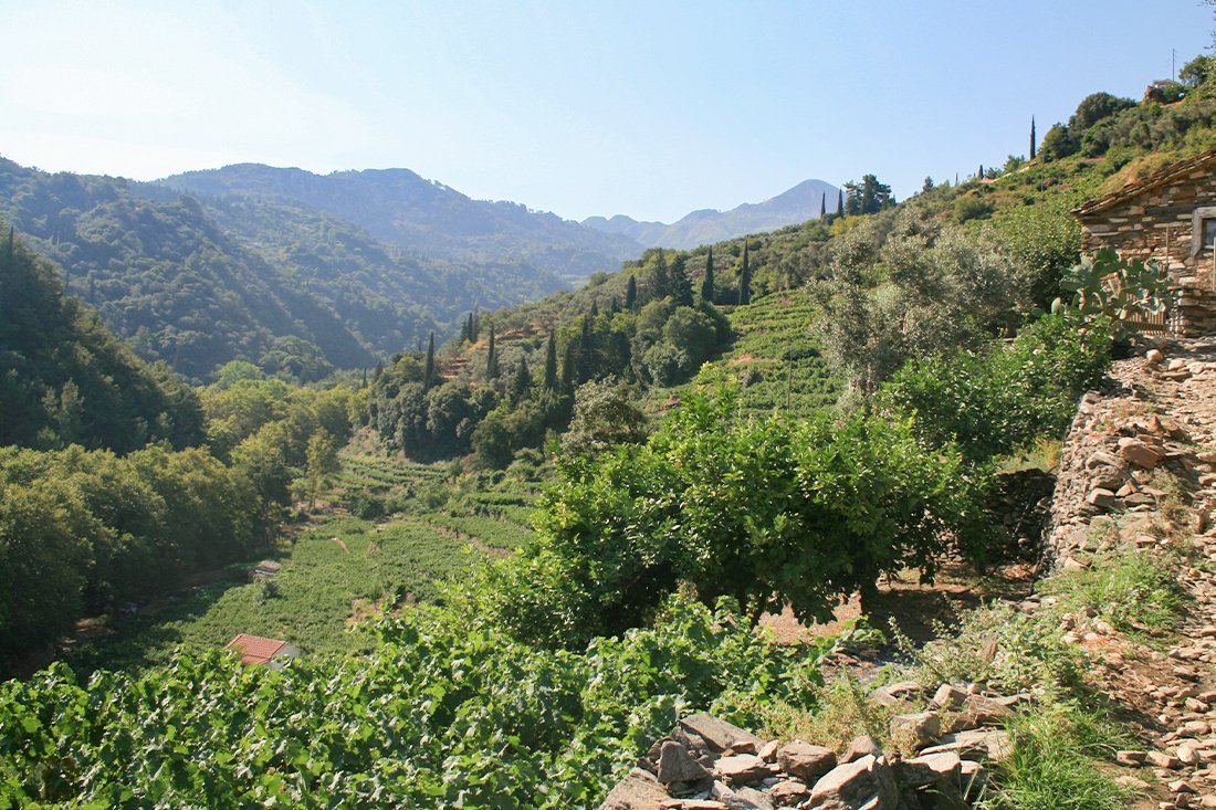 nachtegaalvallei_fotogasten (4).jpg