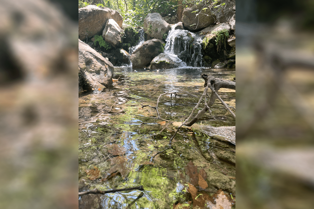 nachtegaalvallei_fotogasten (1).png