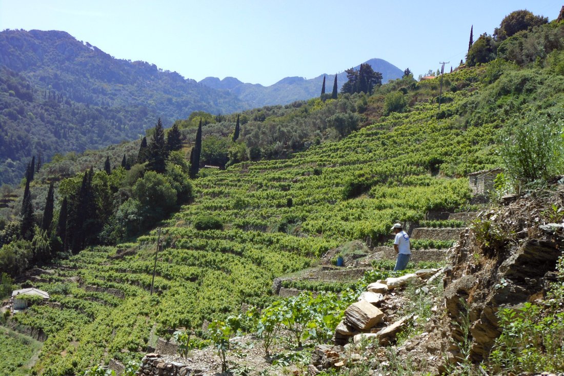 nachtegaalvallei_fotogasten (2).jpg