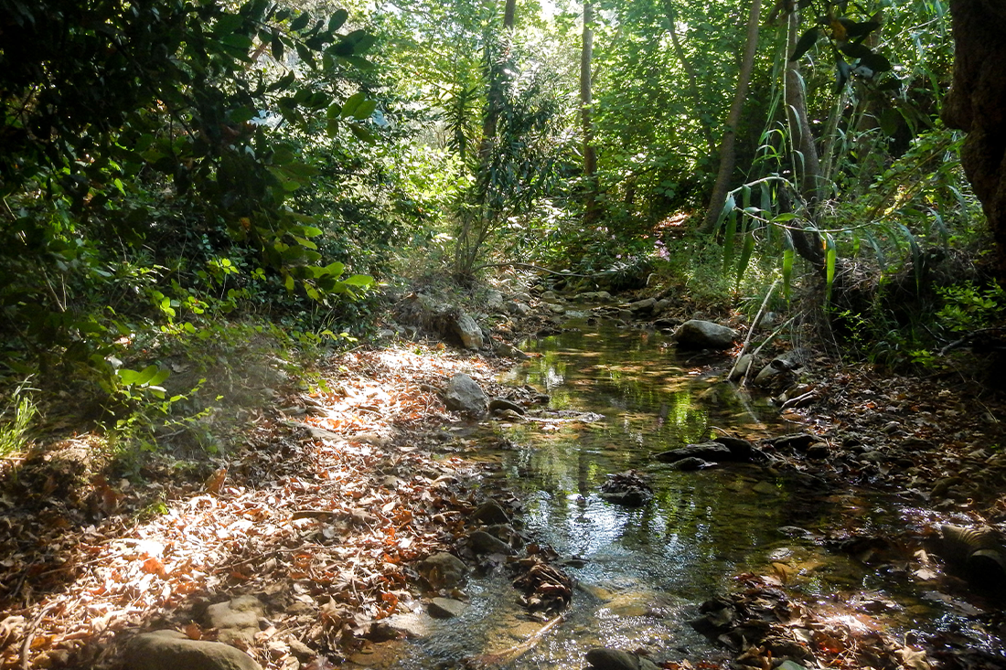 nachtegaalvallei_fotogasten (7).png