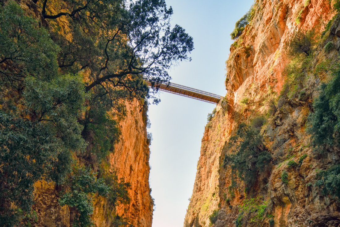 wk_aradena_fan (5).jpg