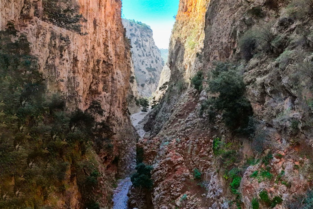 wk_aradena_fan (4).jpg