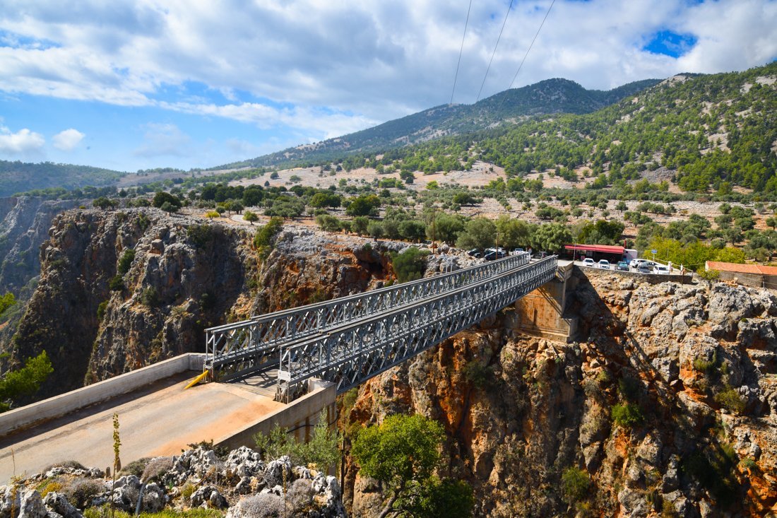 wk_aradena_fan (1).jpg