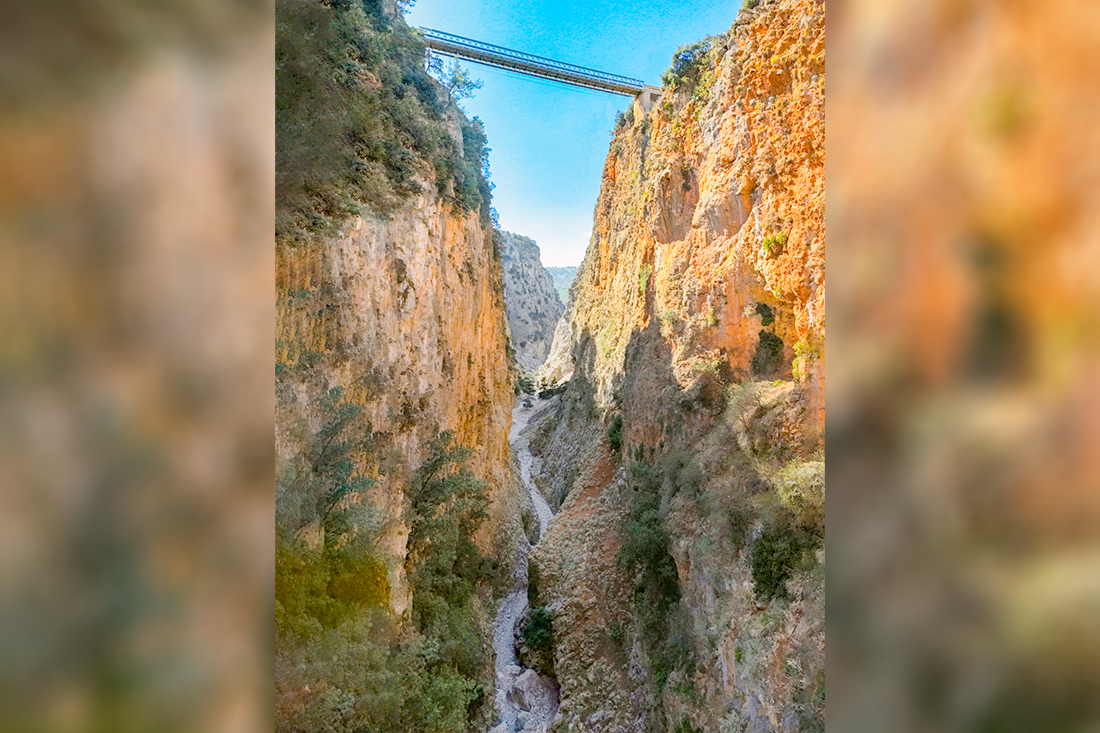 wk_aradena_fan (1).png