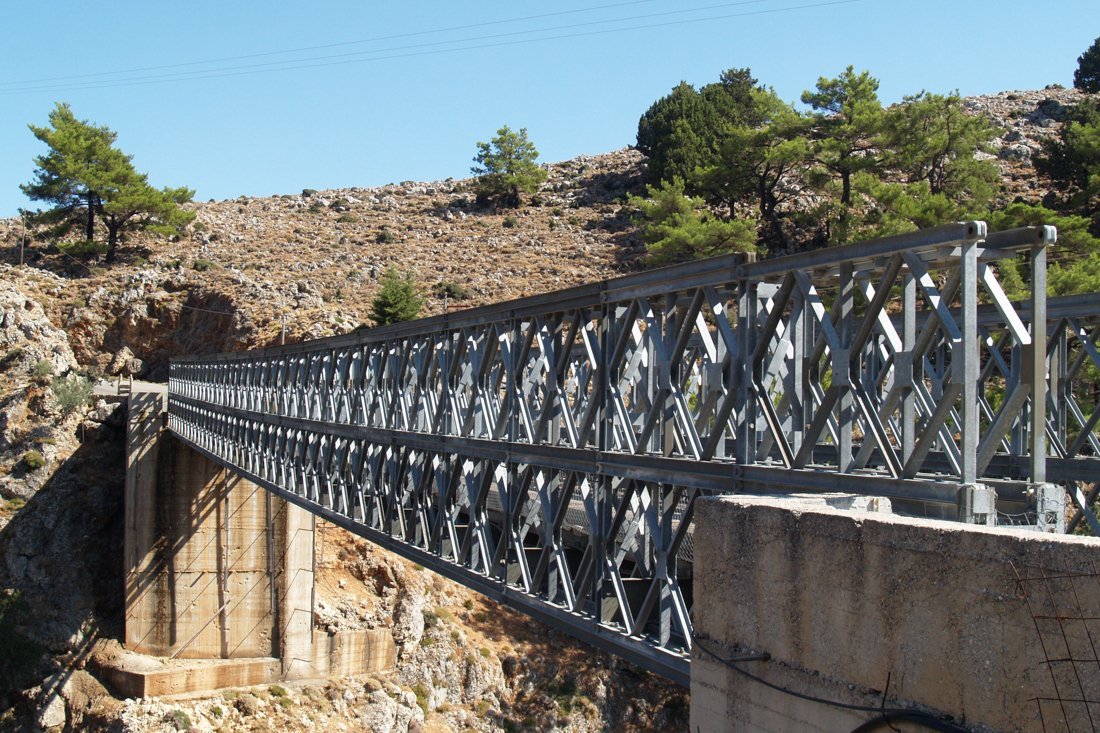 wk_aradena_fan (3).jpg