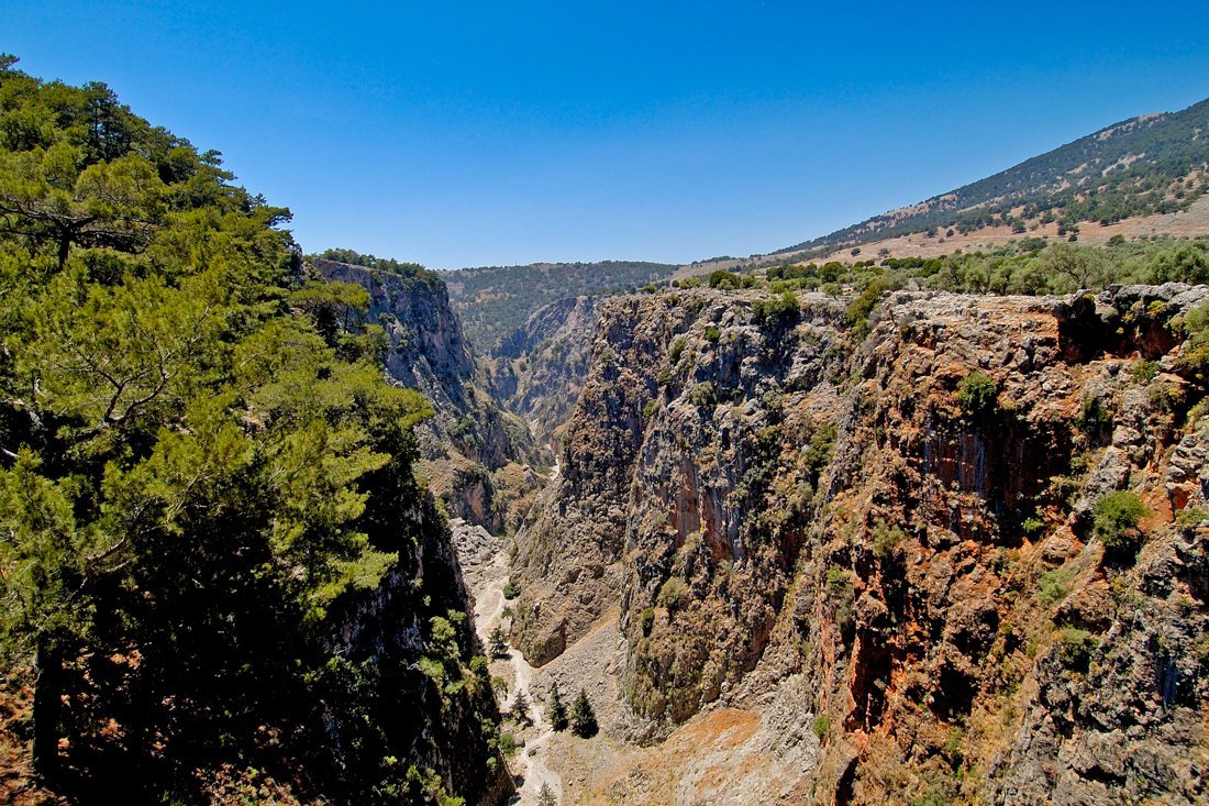 wk_aradena_ag (1).jpg