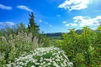 ig_wk_vicilla_ei (30).jpg