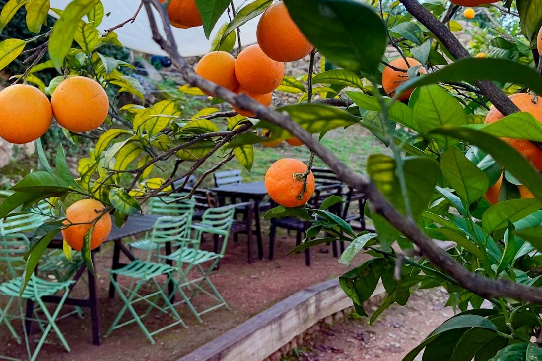 pe_watermill_ovf (31).jpg