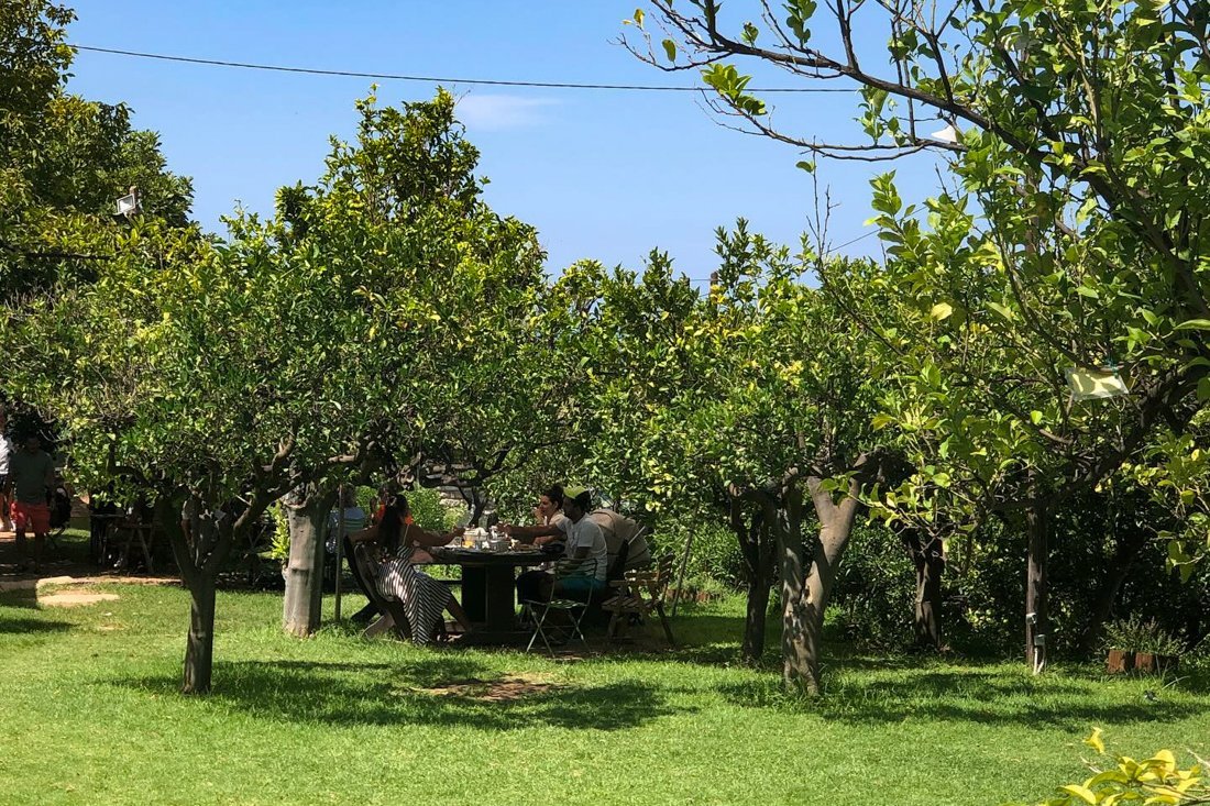 pe_watermill_ovf (34).jpg