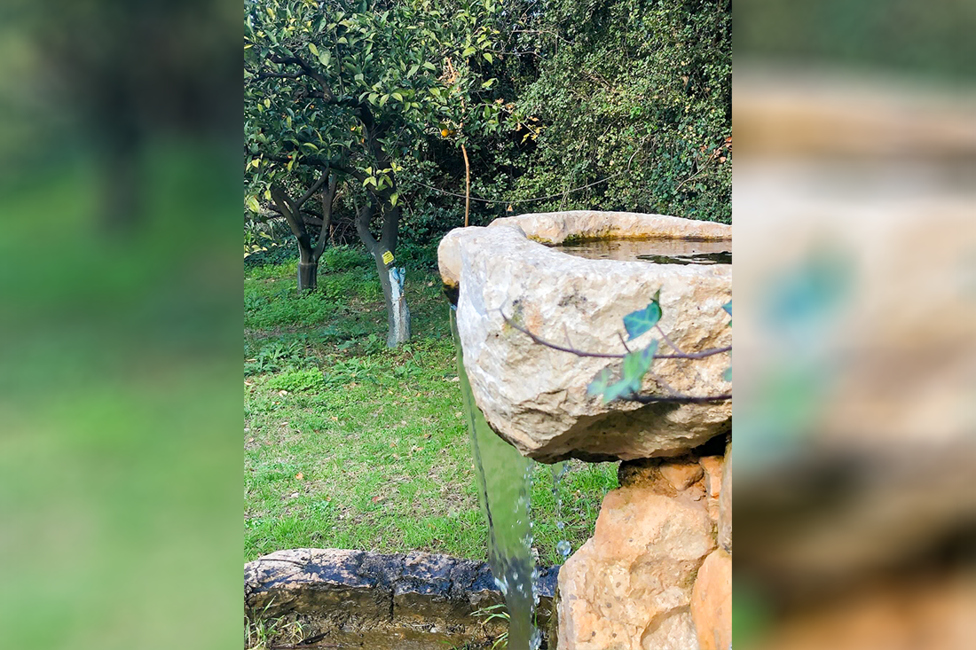 pe_watermill_ovf (40).png