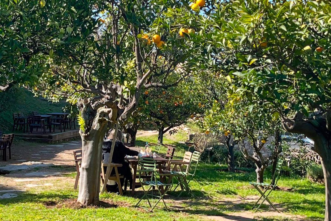 pe_watermill_ovf (24).jpg