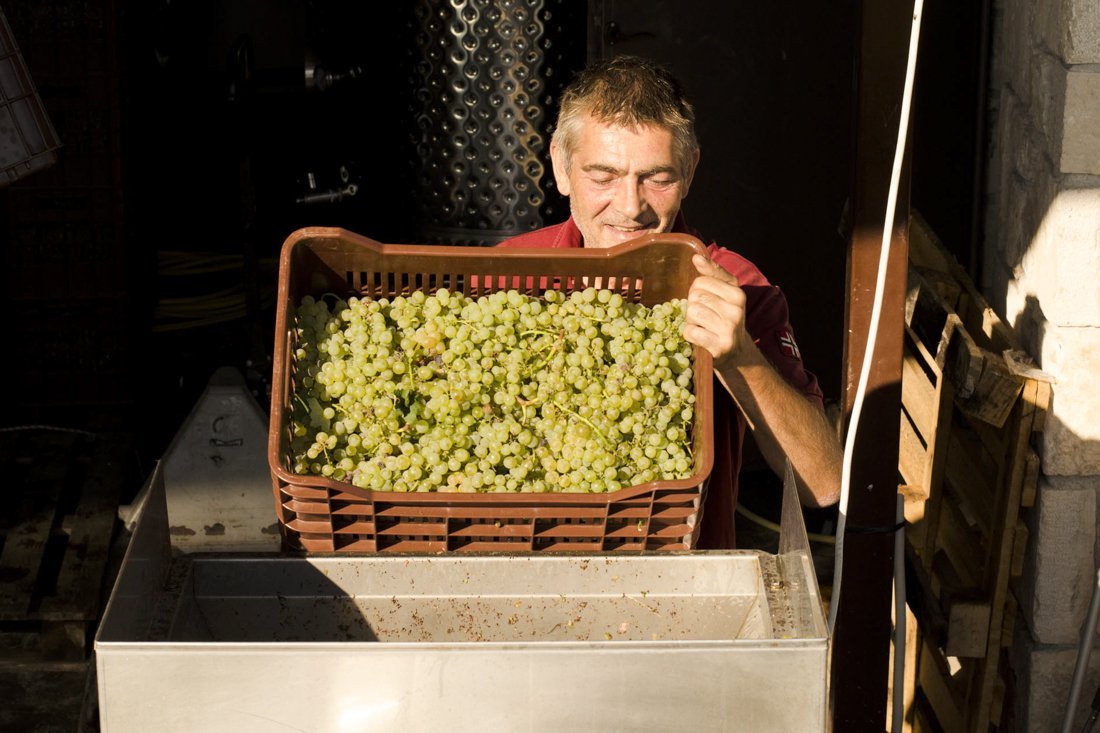 za_grampsas_winery_ovf (15).jpg